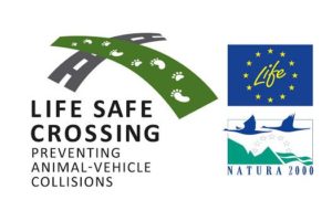 life safe crossing