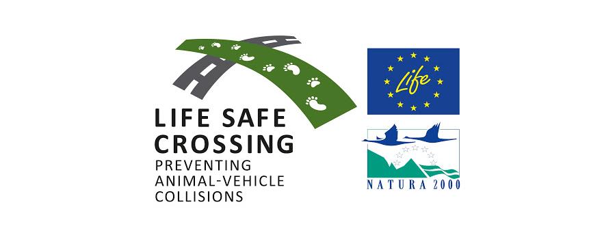 life safe crossing