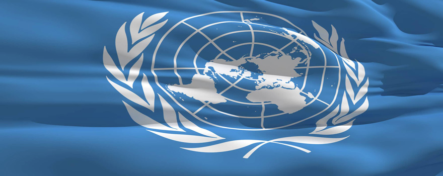 Οργανισμός Ηνωμένων Εθνών