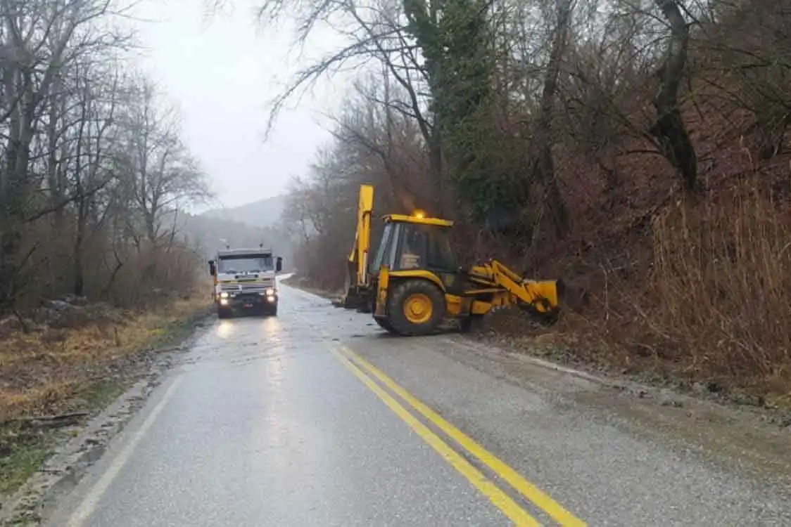 Καθαρισμός βλάστησης
