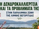 Ημερίδα για τη δεντροκαλλιέργεια περιοχής Βεγορίτιδας (18-6-2026)
