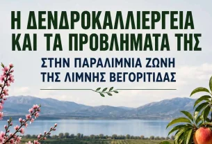 Ημερίδα για τη δεντροκαλλιέργεια περιοχής Βεγορίτιδας (18-6-2026)