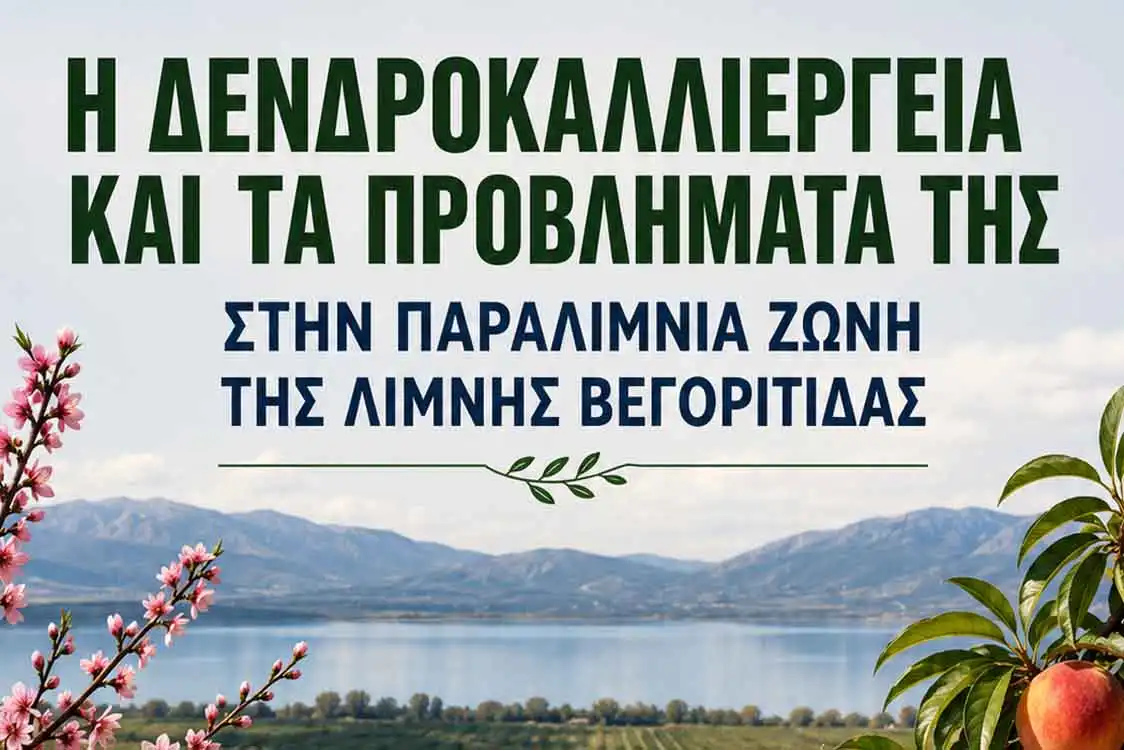 Ημερίδα για τη δεντροκαλλιέργεια περιοχής Βεγορίτιδας (18-6-2026)
